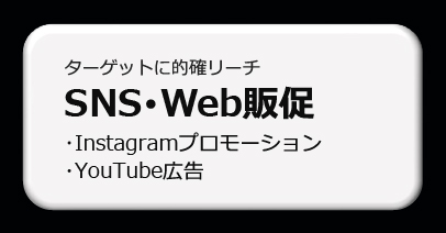 ターゲットに的確リーチ「SNS・Web販促 Instagramプロモーション・YouTube広告